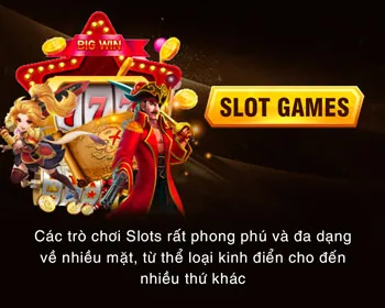 Nền tảng bảo mật lc79b